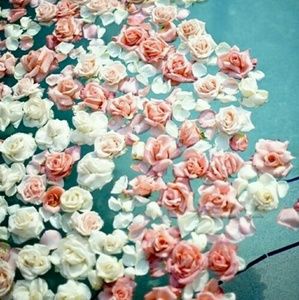 Meet your Posher, Angie