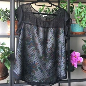 Daniel Rainn elegant double-layered top