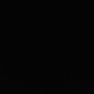 Meet your Posher, Logan