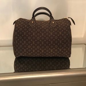 Louis Vuitton Mini Lin speedy bag