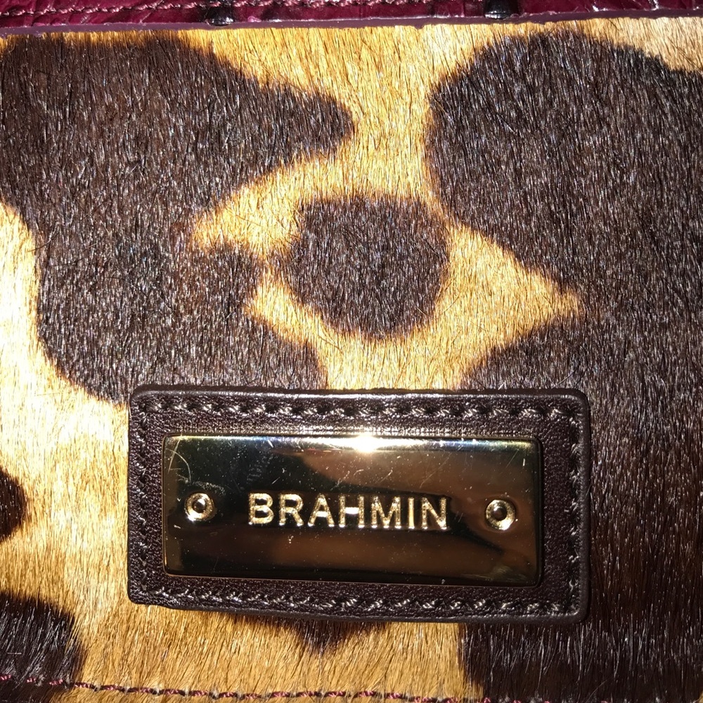 Brahmin clutch