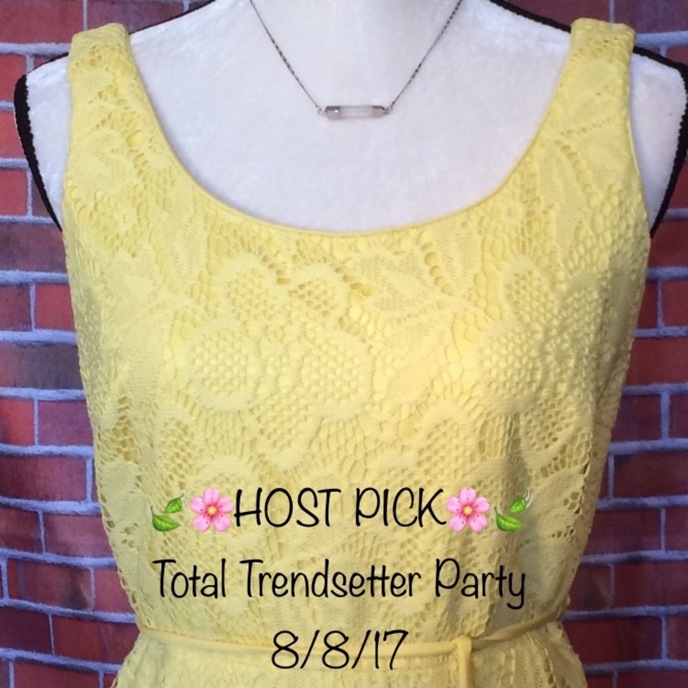 🍃🌸HOST PICK🌸🍃 Sandra Darren - Summer dress