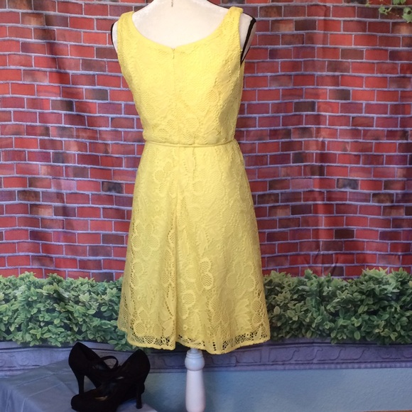 🍃🌸HOST PICK🌸🍃 Sandra Darren - Summer dress - Picture 6 of 8