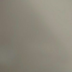 Meet your Posher, Isabella