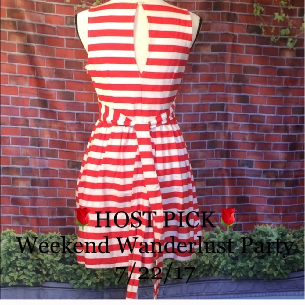 🌹HOST PICK🌹Pink Owl Apparel - Striped dress