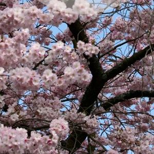 Meet your Posher, Daniela