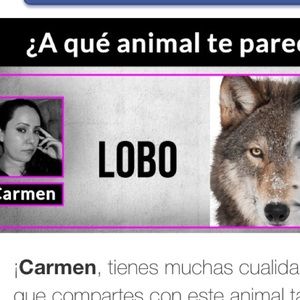 Meet your Posher, Carmen