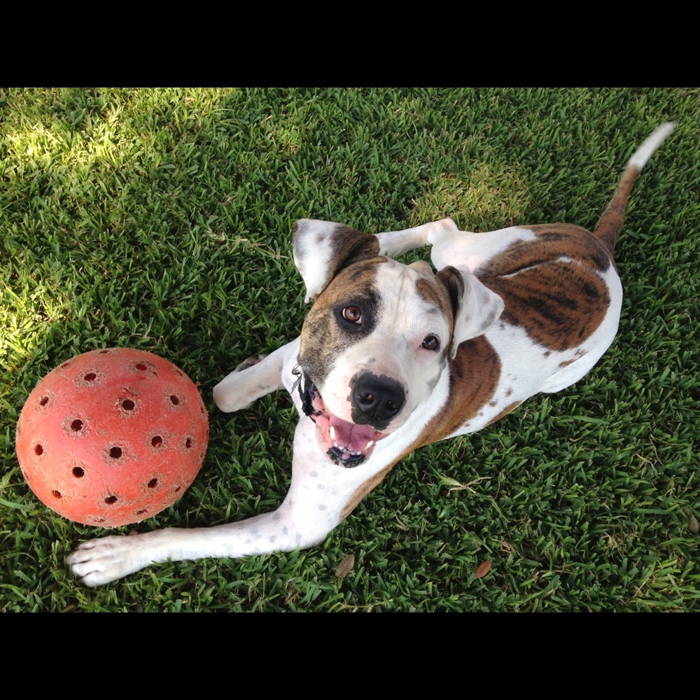 Meet your Posher, Crystal