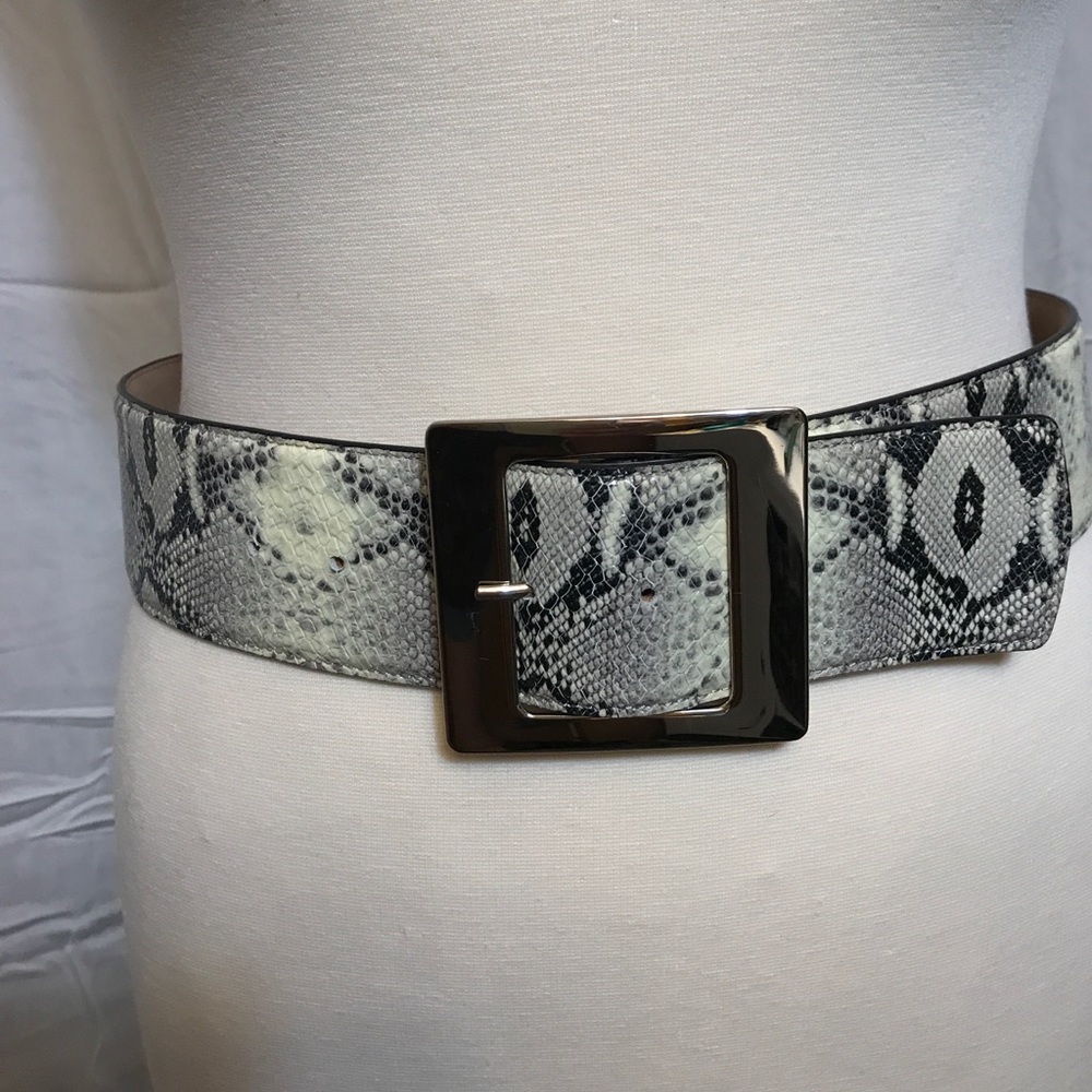 Wide Snakeskin Belt by Ann Taylor