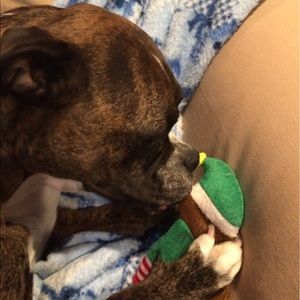 Meet your Posher, Mike