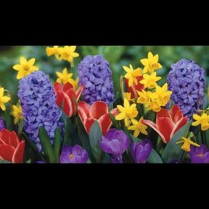 Make an offer! You won't know until you ask❤️