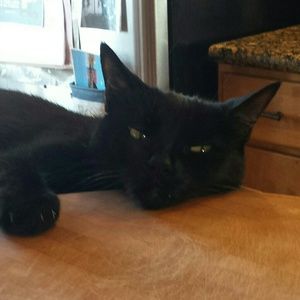 Meet your Posher, Gillian