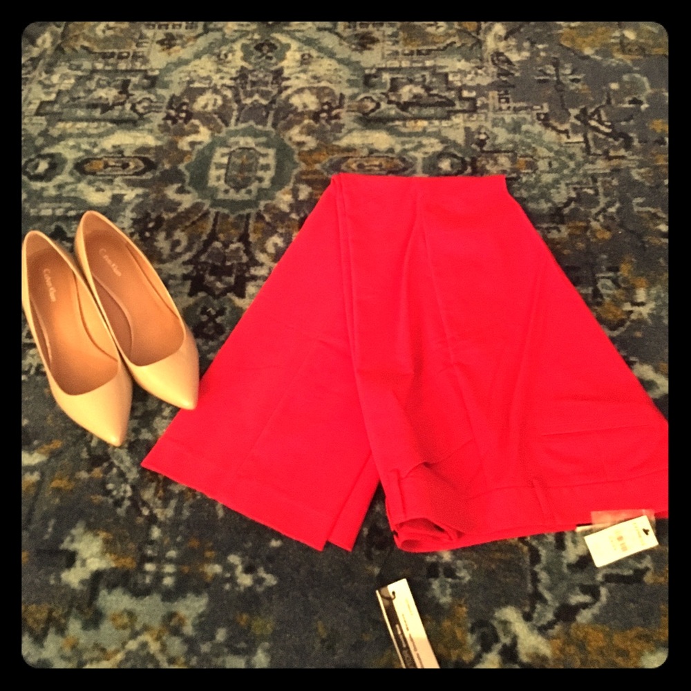 Brand New!!!  Express editor pants.