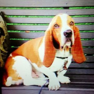 Meet your Posher, Deena