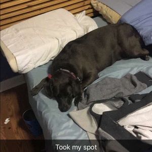 Meet your Posher, Cindy