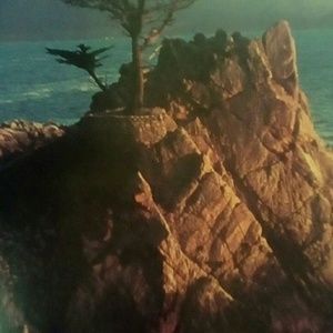 Meet your Posher, Felicia