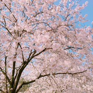 Meet your Posher, Stacy