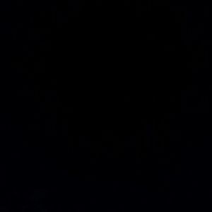 Meet your Posher, Hans