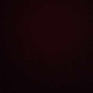 Meet your Posher, Lee