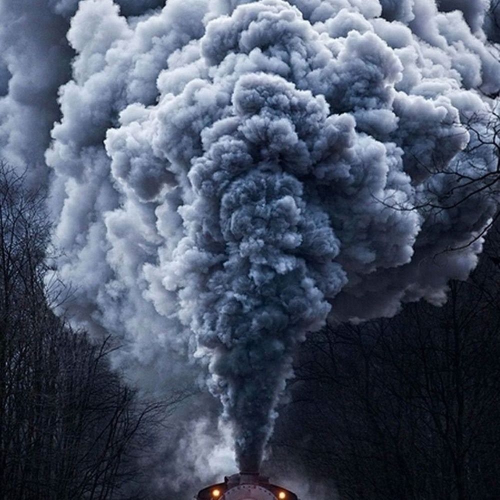 Meet your Posher, Ingrid