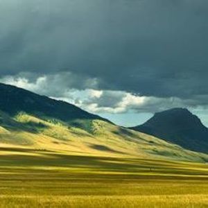 Meet your Posher, Vicky