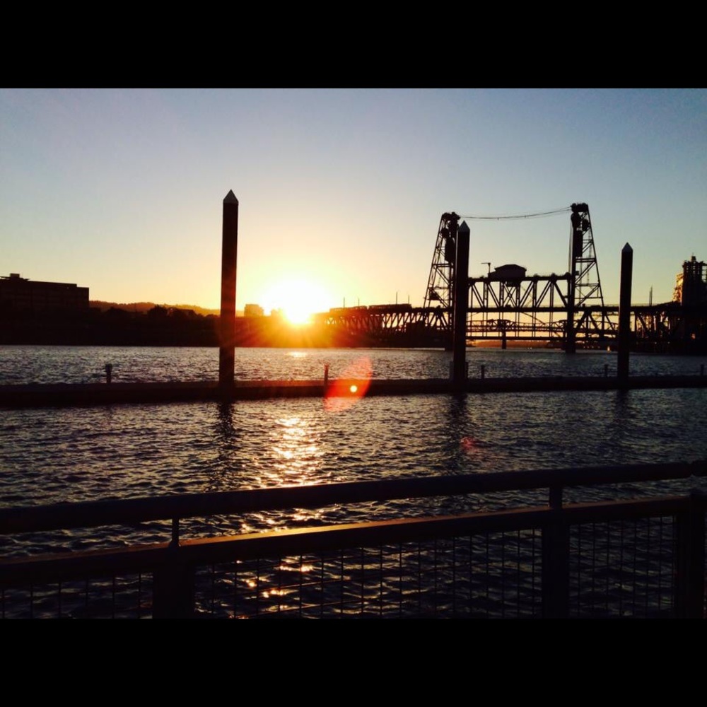 Meet your Posher, Molly