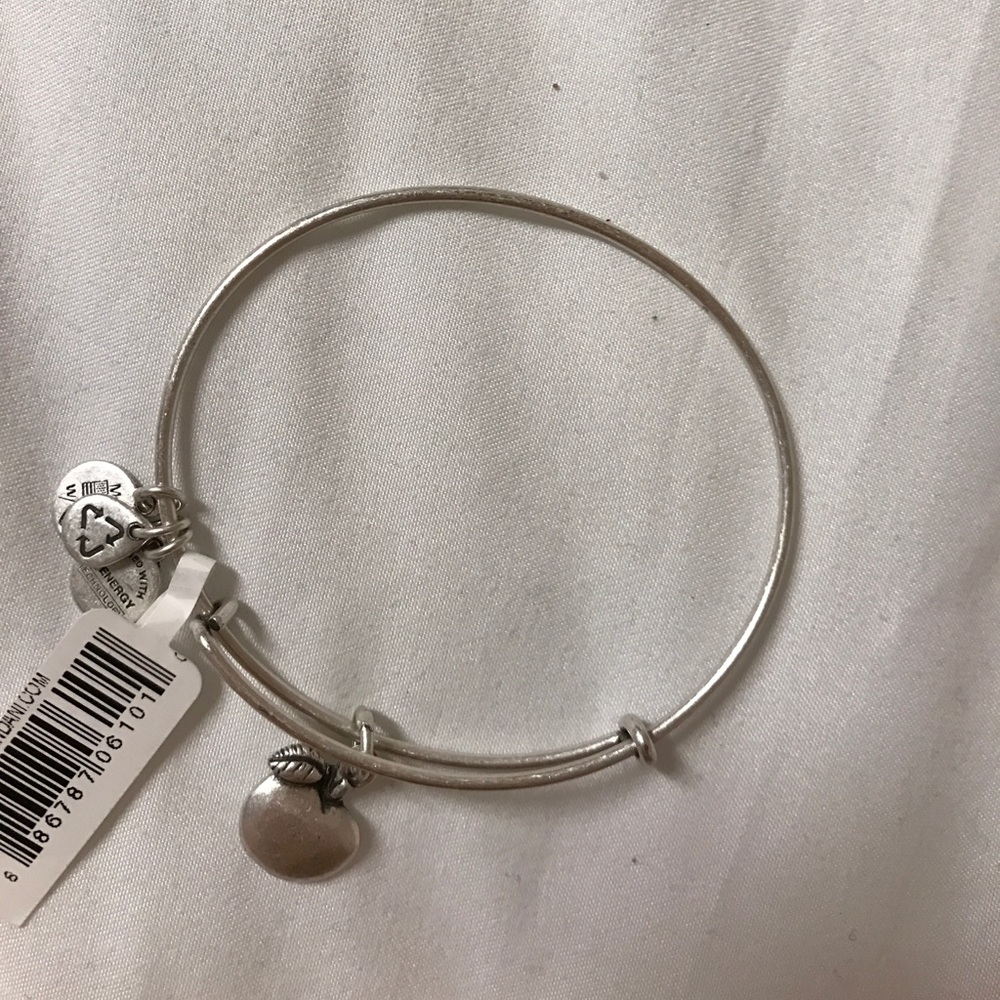 Apple Alex and Ani Bracelet