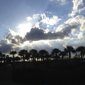 Meet your Posher, Chloe