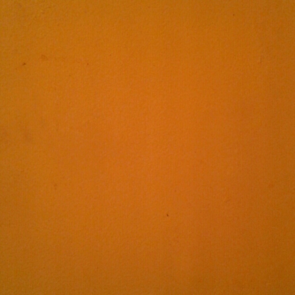 Meet your Posher, Marisol