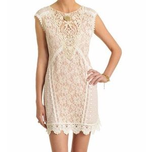 Champagne & Strawberry Lace/Crochet Shift Dress