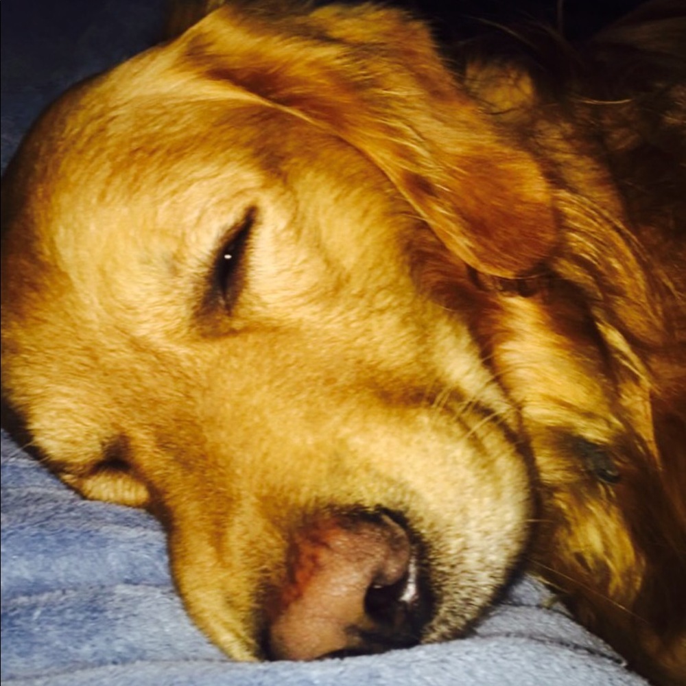 Meet your Posher, Liz