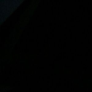 Meet your Posher, Lindy