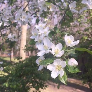 Meet your Posher, Julia