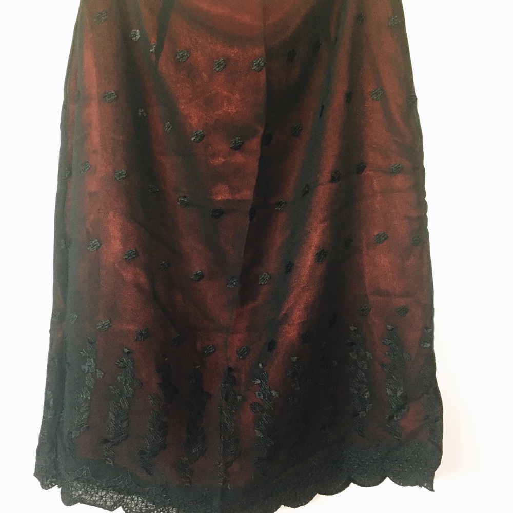 Gorgeous sheer black skirt with red lining