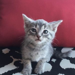 Meet your Posher, Kimberly