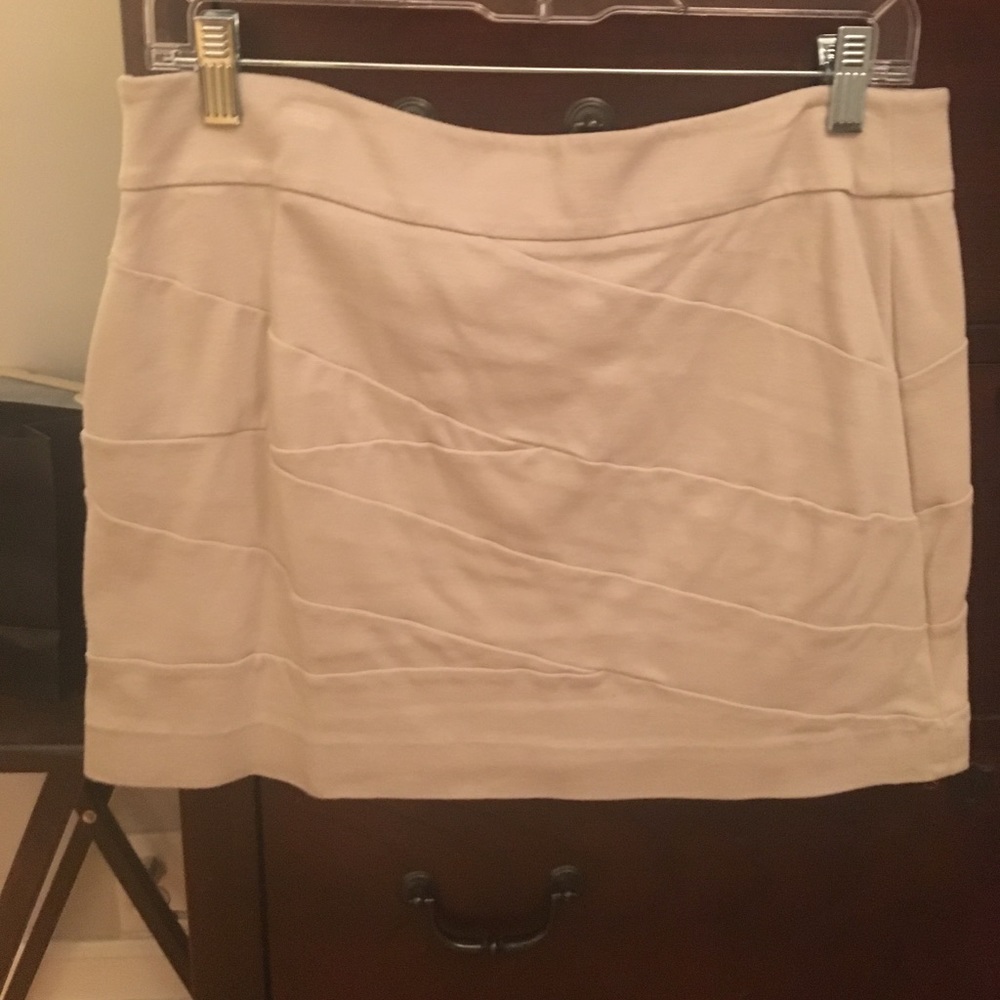 Stretchy Express Skirt