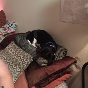 Meet your Posher, Katie