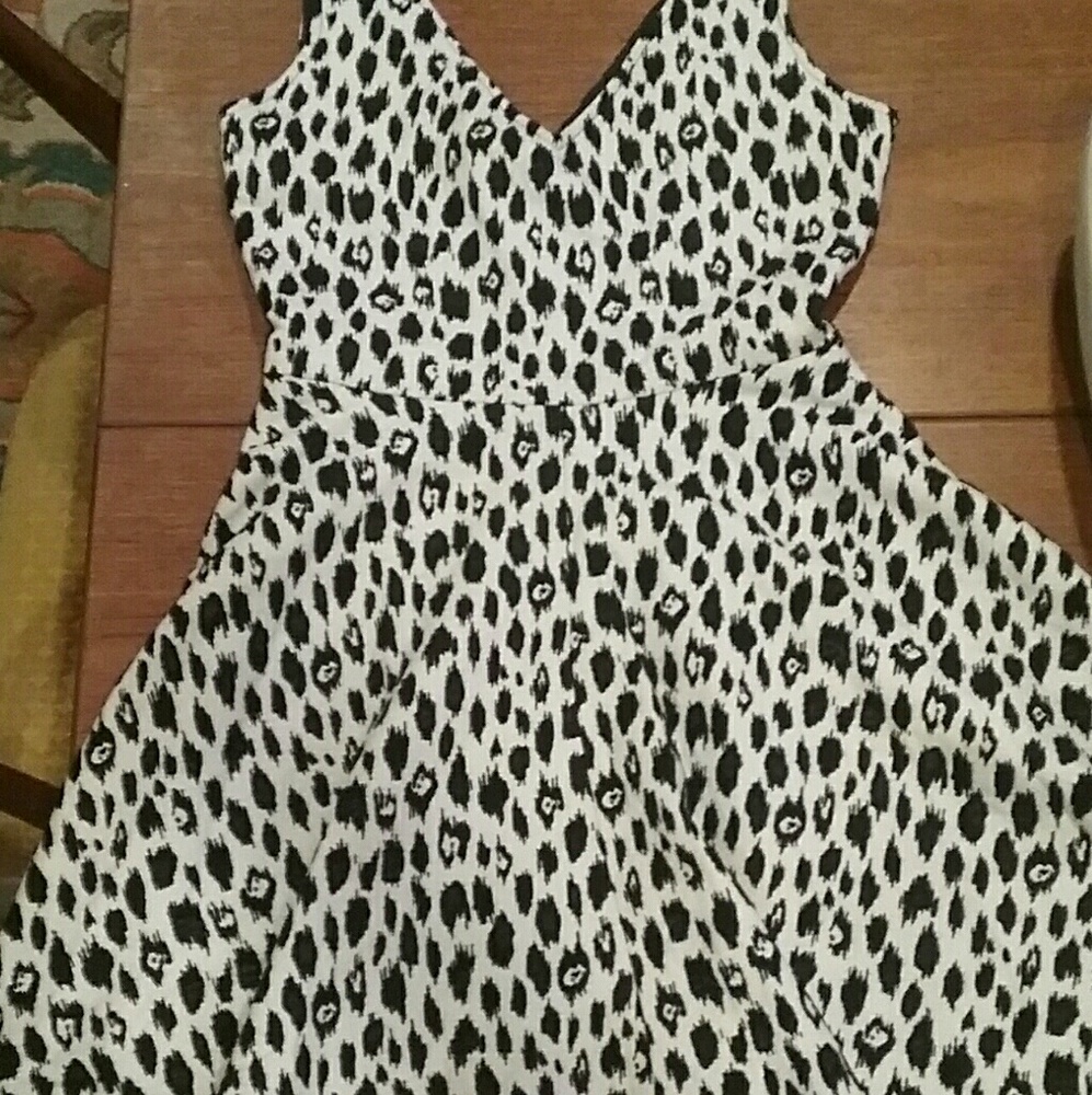 Alberto Makali animal print dress