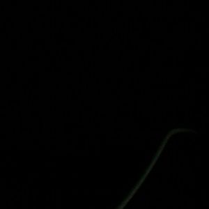 Meet your Posher, Johniesha