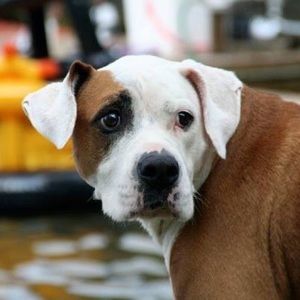 Meet your Posher, Leslie