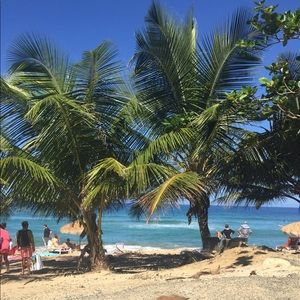 Meet your Posher, Davide