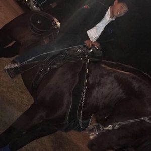 Meet your Posher, Ramon