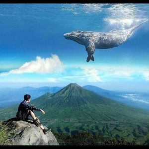 Meet your Posher, Kyle