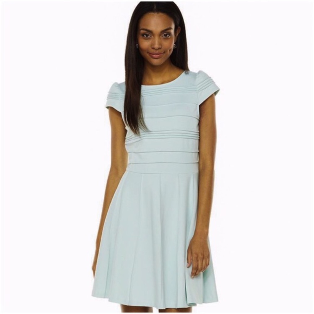 NWT Elle Pintuck Fit and Flare Dress Mint Green