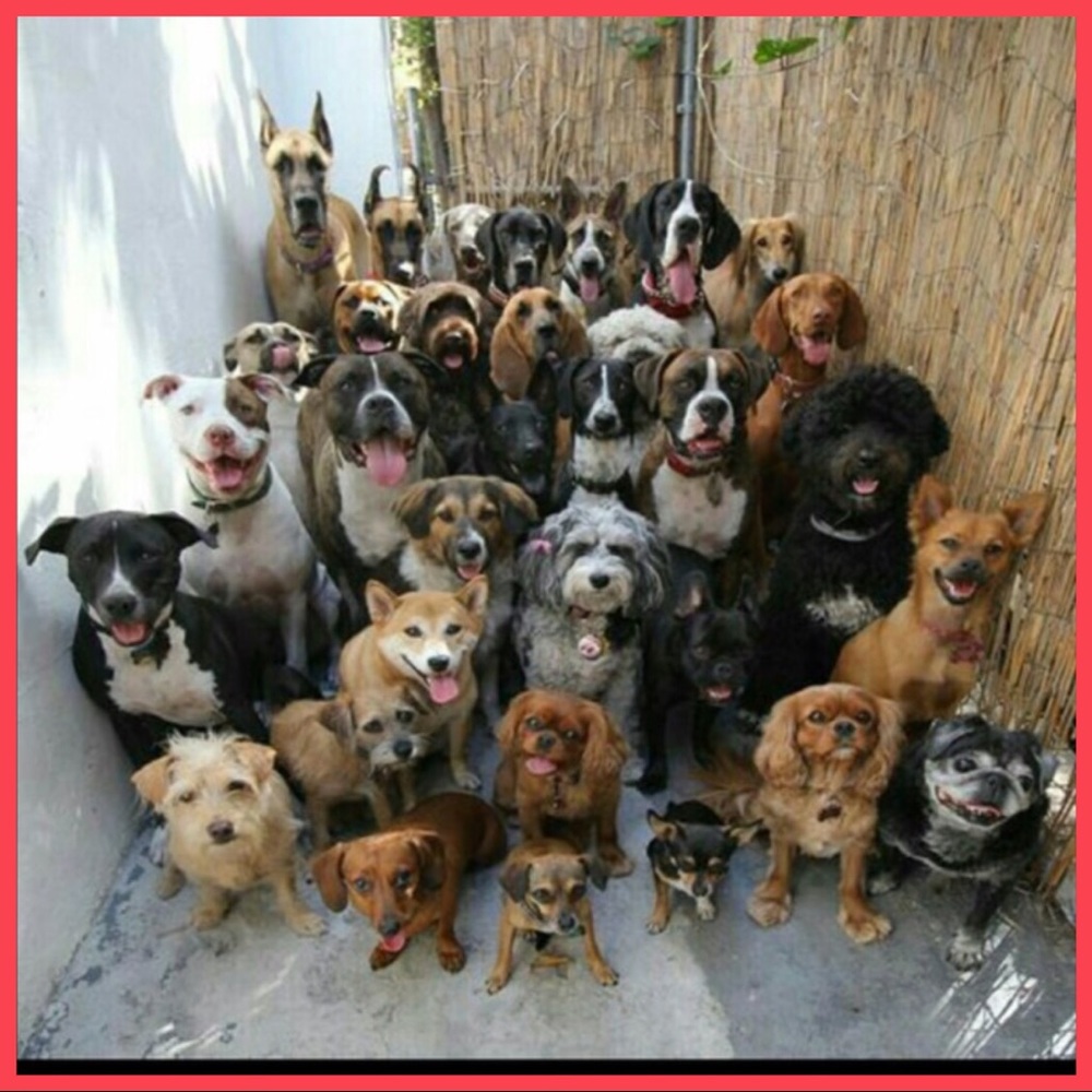 WAITING FOR OFFERS..LOVE THEM..