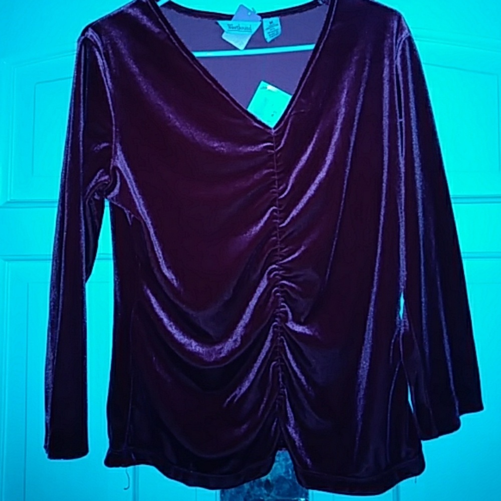 Brand New Velvet Blouse