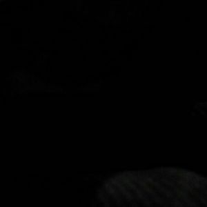 Meet your Posher, Lexi