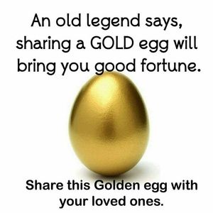 Meet your Posher, Yvette