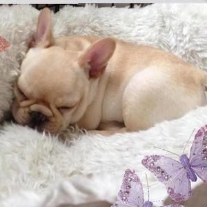 Meet your Posher, Toni