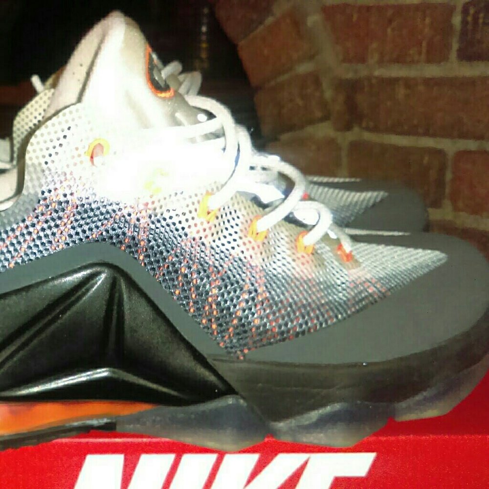 Lebron James Nike 95 airmaxs